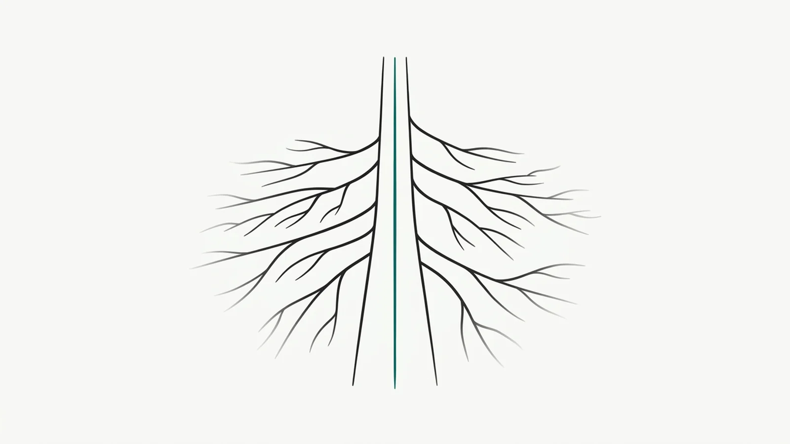 Un chemin central net avec des bifurcations qui s’éloignent